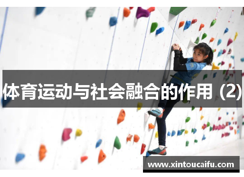 体育运动与社会融合的作用 (2)