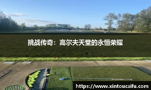 mk体育